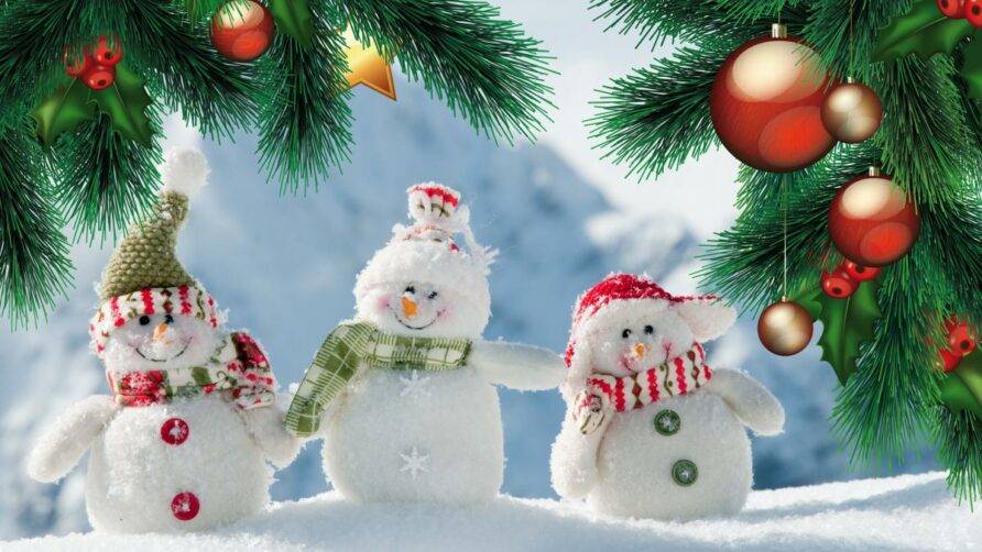 Новогодняя ночь (31.12.24 — 01.01.25)